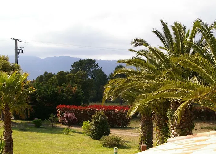 U Re D' Alzettu Apartamento Porto-Vecchio (Corsica)